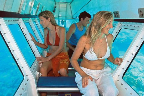 Quicksilver Outer Great Barrier Reef Snorkel Cruise From Palm Cove - Accommodation Georgetown 5
