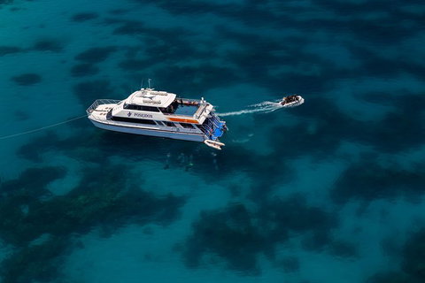 Quicksilver Dive 4 Day PADI Learn To Dive Course - Accommodation Georgetown 1