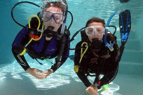 Quicksilver Dive 4 Day PADI Learn To Dive Course - Accommodation Georgetown 2
