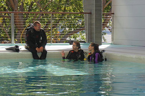Quicksilver Dive 4 Day PADI Learn To Dive Course - Accommodation Georgetown 3