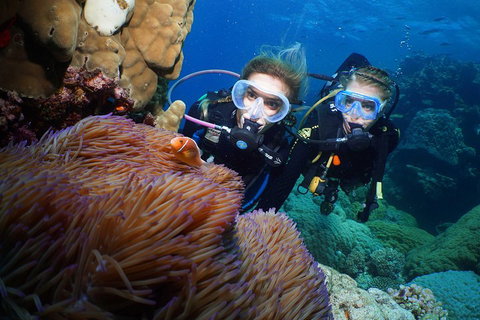 Quicksilver Dive 4 Day PADI Learn To Dive Course - Accommodation Georgetown 4