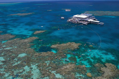 Ultimate 3-Day Great Barrier Reef Cruise Pass - Accommodation Georgetown 3