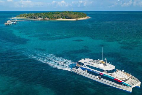 Ultimate 3-Day Great Barrier Reef Cruise Pass - Accommodation Georgetown 4