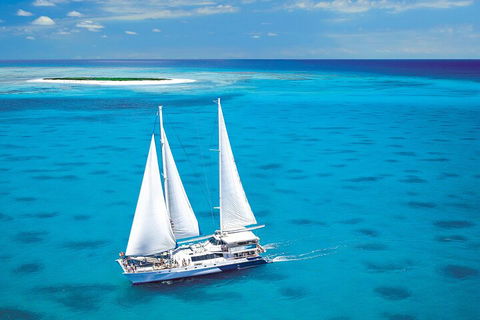 Ultimate 3-Day Great Barrier Reef Cruise Pass - Accommodation Georgetown 5