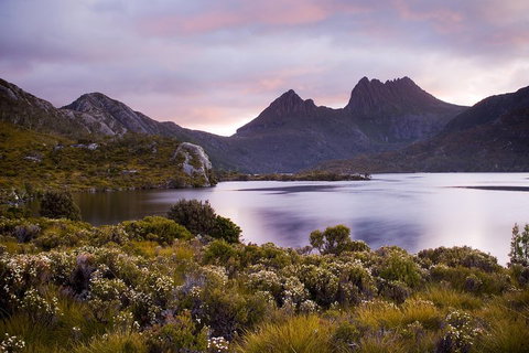 Cradle Mountain Private Charter Service - Accommodation Georgetown 1