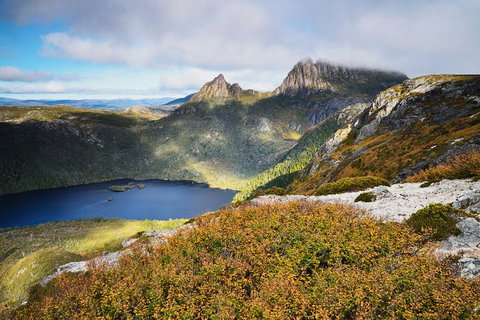 Cradle Mountain Private Charter Service - Accommodation Georgetown 3