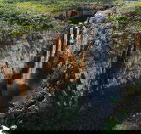 7 Days Darwin Kakadu National Park Katherine Gorge Touring Package - Accommodation Georgetown