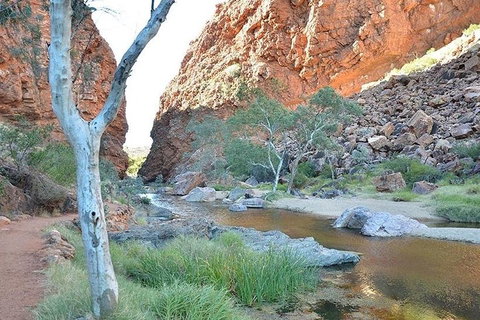 Alice Springs, Uluru Ayers Rock & Kings Canyon 8 Days Touring Package - Accommodation Georgetown 2