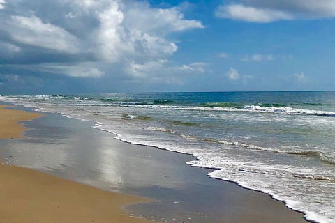 3 Nights 2 Full Days Private Guided Tour Of The Sunshine Coast And Hinterland - Accommodation Georgetown 4