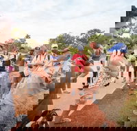 Uluru Kata Tjuta and Kings Canyon Camping Safari from Ayers Rock - Accommodation Georgetown