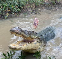 Top End Waterfalls and Wetlands - Accommodation Georgetown