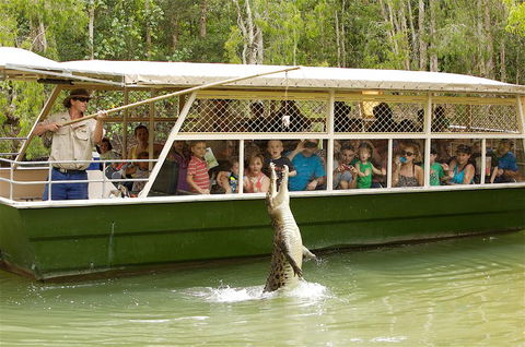 Hartley's Crocodile Adventure Half-Day Tour - Accommodation Georgetown 0