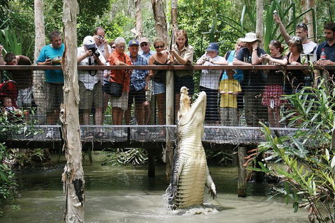 Hartley's Crocodile Adventure Half-Day Tour - Accommodation Georgetown 1