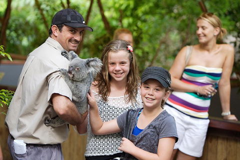 Hartley's Crocodile Adventure Half-Day Tour - Accommodation Georgetown 3