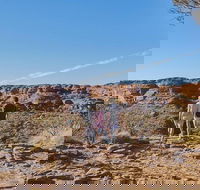 The Amazing Kings Canyon 4-Hours Walking Tour and Hike