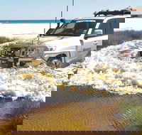 Full-Day Moreton Island 4x4 Sightseeing Tour - Accommodation Georgetown