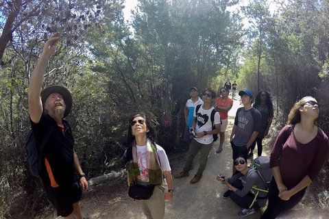 Active Day Tour One-Way From Launceston To Hobart Via Wineglass Bay - Accommodation Georgetown 0