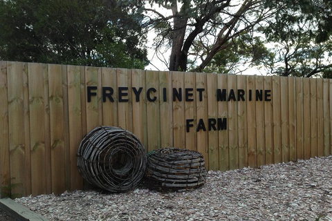 Active Day Tour One-Way From Launceston To Hobart Via Wineglass Bay - Accommodation Georgetown 3