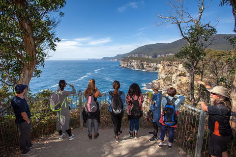 Historic Port Arthur Day Trip From Hobart Including Cliff-Top Walk To Waterfall Bay - Accommodation Georgetown 0