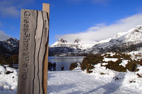 Cradle Mountain Active Day Trip From Launceston - Accommodation Georgetown 3