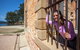 3-Day Tasmania Combo: Launceston To Hobart Active Tour Including Cradle Mountain, Freycinet National Park And Port Arthur - thumb 0