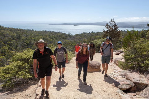 3-Day Tasmania Combo: Launceston To Hobart Active Tour Including Cradle Mountain, Freycinet National Park And Port Arthur - Accommodation Georgetown 5