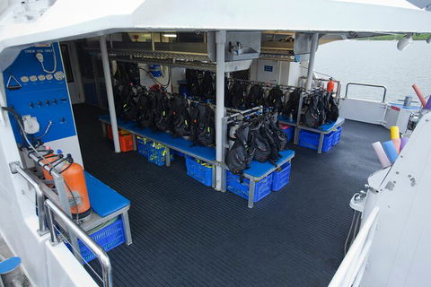 Silverswift Outer Great Barrier Reef Dive And Snorkel Cruise From Cairns - Accommodation Georgetown 0