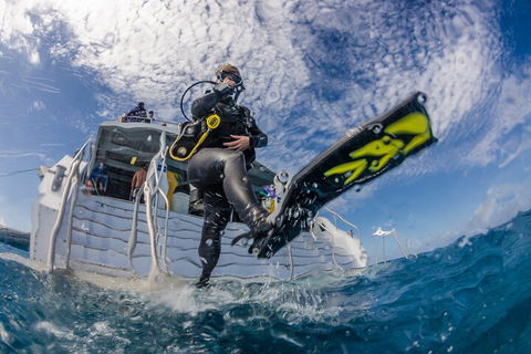 Silverswift Outer Great Barrier Reef Dive And Snorkel Cruise From Cairns - Accommodation Georgetown 1