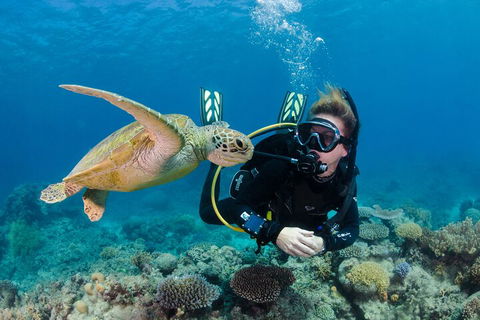 Silverswift Outer Great Barrier Reef Dive And Snorkel Cruise From Cairns - Accommodation Georgetown 2