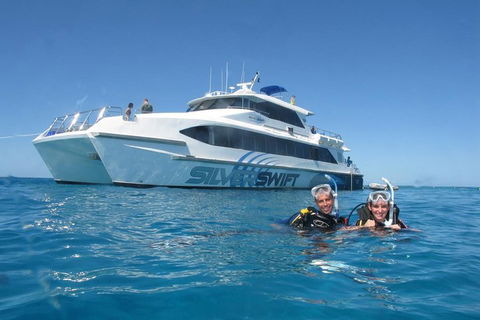 Silverswift Outer Great Barrier Reef Dive And Snorkel Cruise From Cairns - Accommodation Georgetown 4