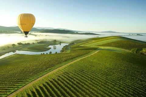 Half-Day Or Full-Day Tour With Private Guide From Melbourne - Accommodation Georgetown 4