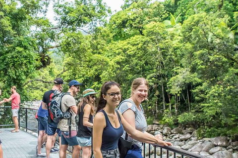 Cape Tribulation, Mossman Gorge, And Daintree Rainforest Day Trip From Cairns Or Port Douglas - Accommodation Georgetown 0