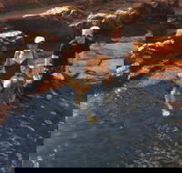 One Day Litchfield Park Adventures - Accommodation Georgetown