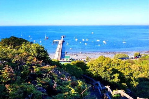Mornington Peninsula Sightseeing Tour For 2-6 Guests. - Accommodation Georgetown 1