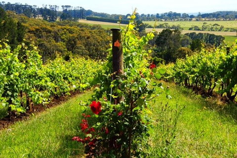Mornington Peninsula Sightseeing Tour For 2-6 Guests. - Accommodation Georgetown 3