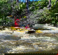 Yarra River Half-Day Rafting Experience - Accommodation Georgetown