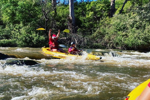 Yarra River Half-Day Rafting Experience - Accommodation Georgetown 0