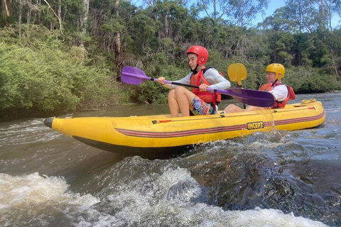 Yarra River Half-Day Rafting Experience - Accommodation Georgetown 1