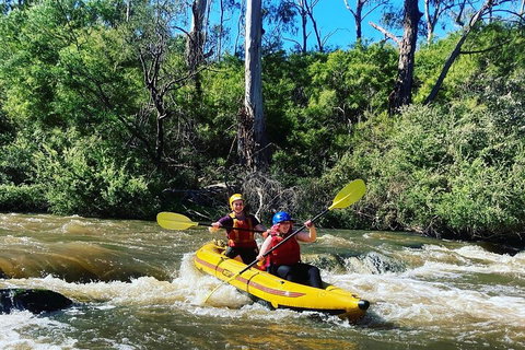Yarra River Half-Day Rafting Experience - Accommodation Georgetown 2