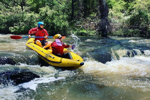Yarra River Half-Day Rafting Experience - Accommodation Georgetown 4