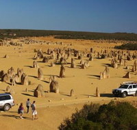 1-Day Pinnacles and Yanchep Tour from Perth including Fish and Chips Lunch - Accommodation Georgetown