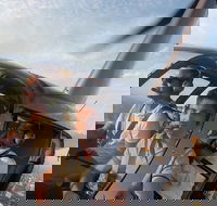 Melbourne and Port Phillip Bay Helicopter Tour - Accommodation Georgetown