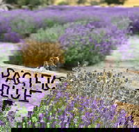 Kangaroo Island Food and Wine Trail Tour - Accommodation Georgetown