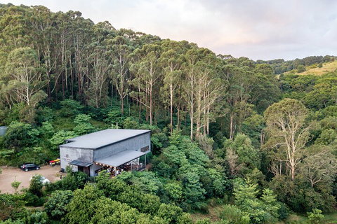 Full-Day Tour To Byron Bay Best Food And Drink Spots - Accommodation Georgetown 3