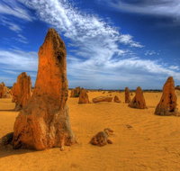 Pinnacles Desert  New Norcia Day Tour from Perth - Accommodation Georgetown