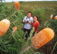 Best of Perth Wildflower Season Day Trip - Accommodation Georgetown