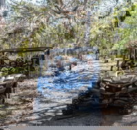 Small-Group Buggy Tour at Little Sahara with Guide - Accommodation Georgetown