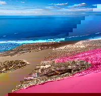 Pink Lake Small-Group Buggy Tour - Accommodation Georgetown