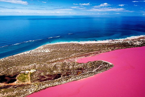 Pink Lake Small-Group Buggy Tour - Accommodation Georgetown 0