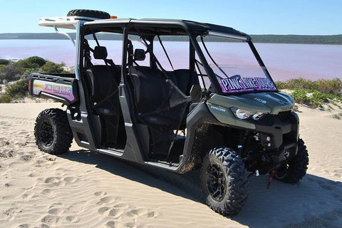 Pink Lake Small-Group Buggy Tour - Accommodation Georgetown 1